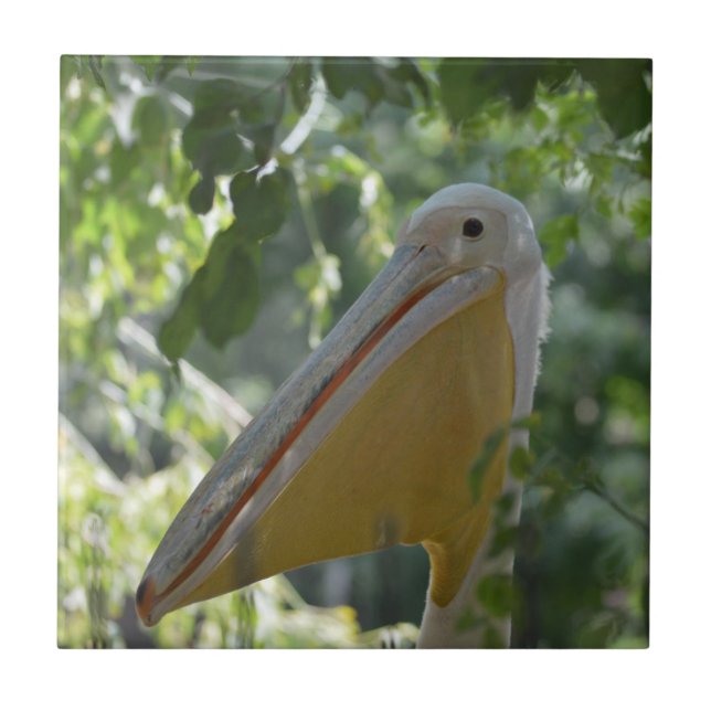 Tile with funny pelican (Front)