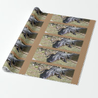 Tiled Everglades Alligator in Sunlit Marsh Grass