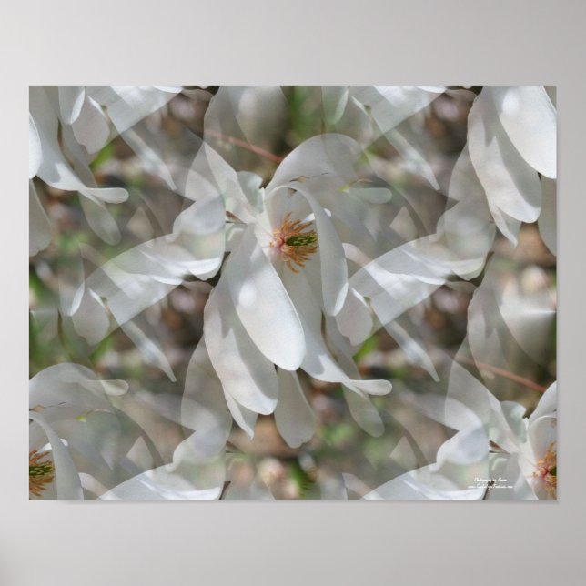 Tiled White Magnolia Floral Print (Front)