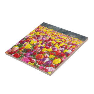 Tiles Art Hotplate Tile gifts Tulip Flowers Garden