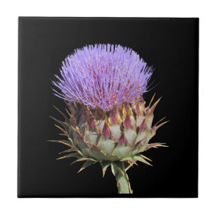 Tiles - Thistle