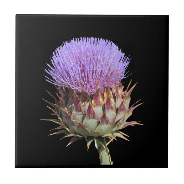Tiles - Thistle (Front)