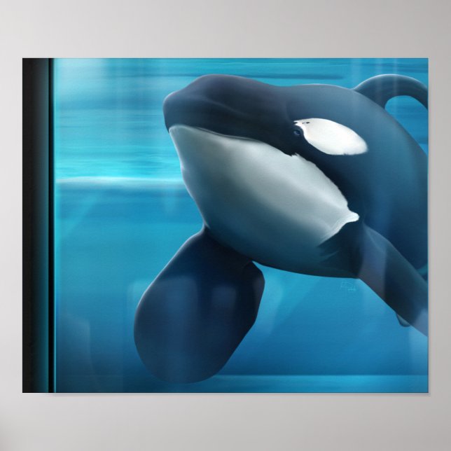 Tilikum portrait poster (Front)