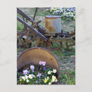 till and flowers postcard