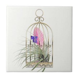 Tillandsia Air Plant in Bird Cage Ceramic Tile