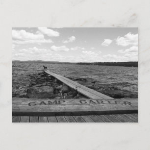 Tillie Postcards