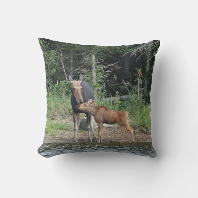 Tim Pond Wilderness Camps Throw Pillows (Front)