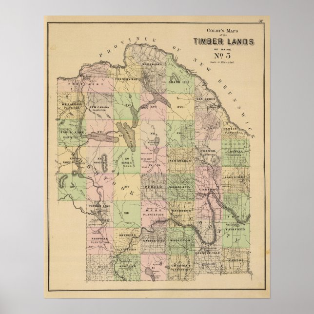 Timber lands 5 Map Poster (Front)