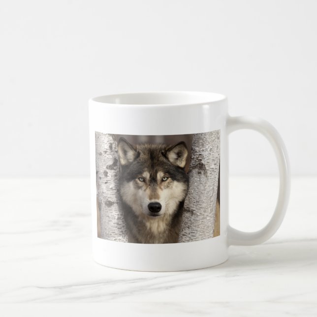 Timber wolf by Jim Zuckerman Coffee Mug (Right)
