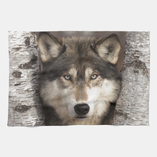 Timber wolf by Jim Zuckerman Tea Towel (Horizontal)