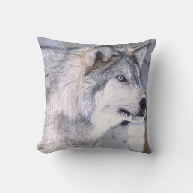 Timber Wolf, Canis lupus, Movie Animal Utah) Cushion (Front)