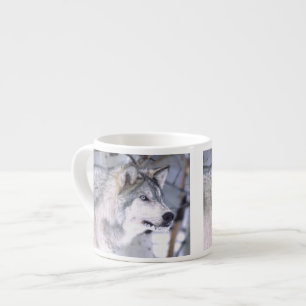 Timber Wolf, Canis lupus, Movie Animal Utah) Espresso Cup