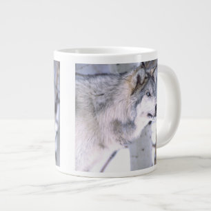 Timber Wolf, Canis lupus, Movie Animal Utah) Large Coffee Mug