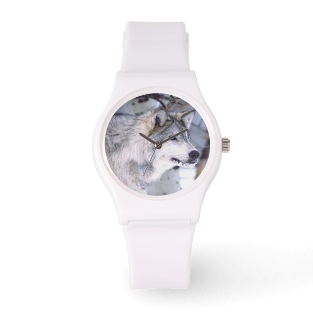 Timber Wolf, Canis lupus, Movie Animal Utah) Watch (Front)