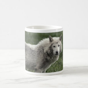 Timber wolf coffee mug