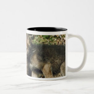 Timber wolf cubs Two-Tone coffee mug