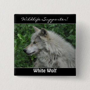Timber Wolf Grey Wolf Wild Animal 15 Cm Square Badge