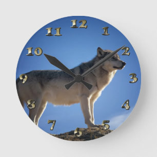 Timber Wolf in Montana - Big Sky Country Round Clock