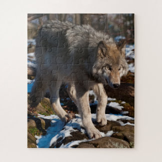 Timber Wolf  Jigsaw Puzzle