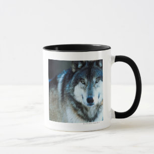 Timber wolf mug
