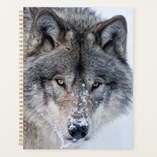 Timber Wolf Planner