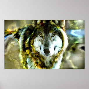 Timber-Wolf Poster from JungleWalk.com