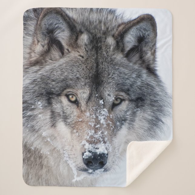 Timber Wolf  Sherpa Blanket (Front)