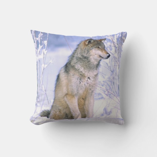 Timber Wolf sitting in the Snow, Canis lupus, Cushion (Front)