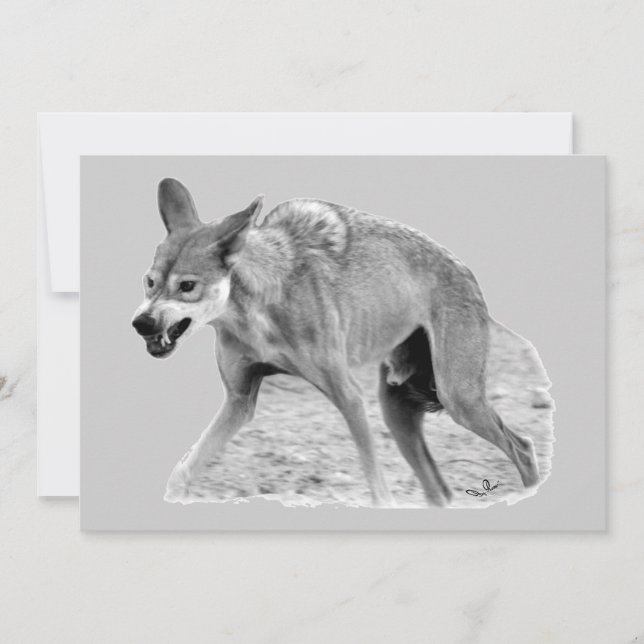 Timber Wolf Snarl (Front)