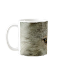 Timber Wolf Wildlife Photography