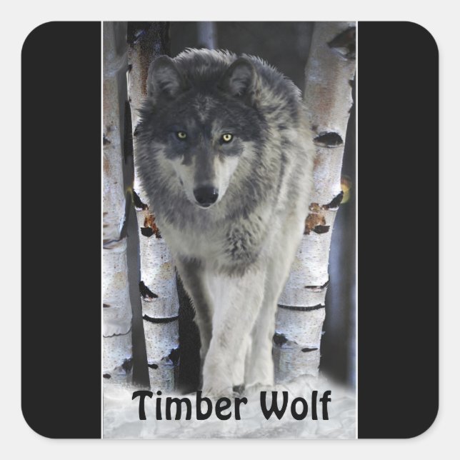 TIMBER WOLF Wildlife Supporter Artwork Square Sticker (Front)
