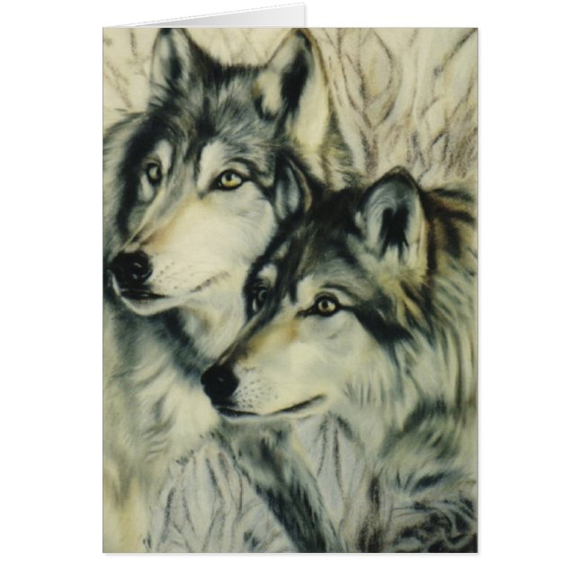 "Timber Wolves" (Front)