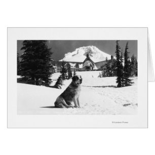 Timberline Lodge and "Lady" the owner's