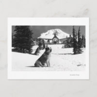 Timberline Lodge and "Lady" the owner's