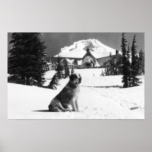 Timberline Lodge and "Lady" the owner's Poster