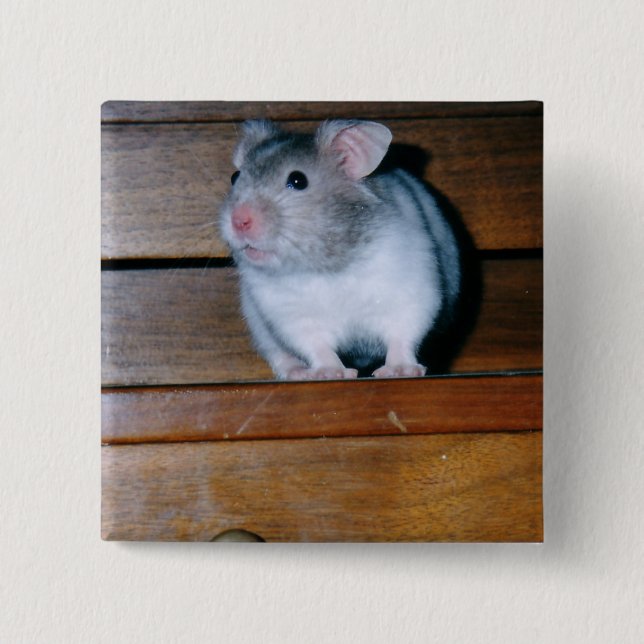 Timbit the Hamster Button (Front)