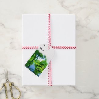 Time Away From the City Gift Tags