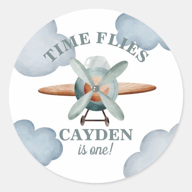 Time Flies Aeroplane Birthday Classic Round Sticker (Front)