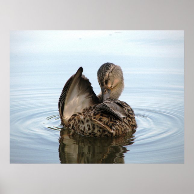 Time for a Bath - POSTER (Front)