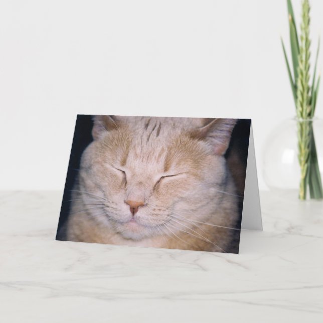 "Time for my close-up!" Card (Front)