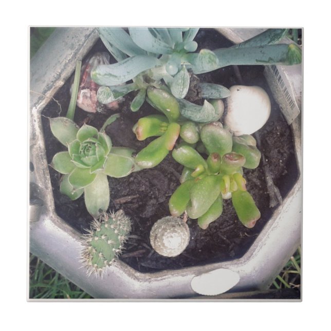 Time for tea?A planted tea kettle Ceramic Tile (Front)