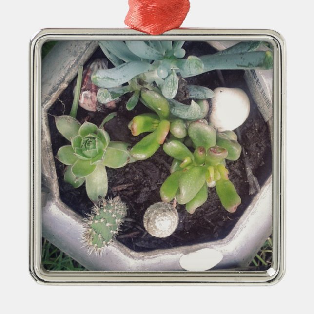 Time for tea?A planted tea kettle Metal Tree Decoration (Front)