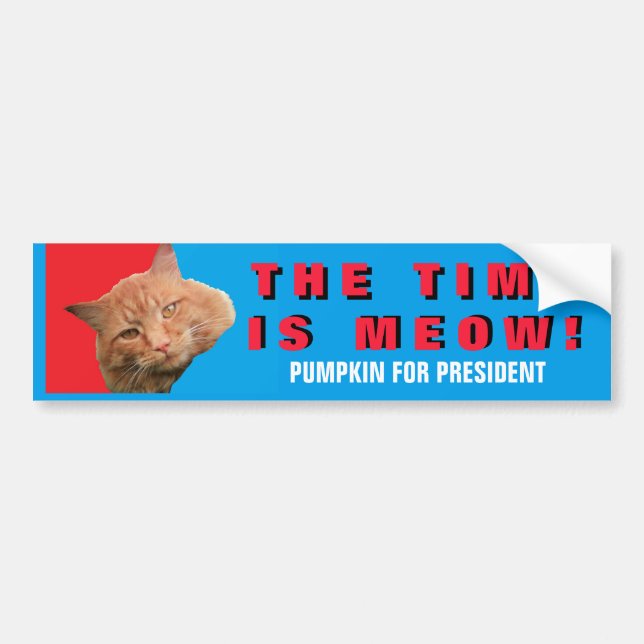 Time Is Meow! Red Blue Pumpkin for President Bumper Sticker (Front)