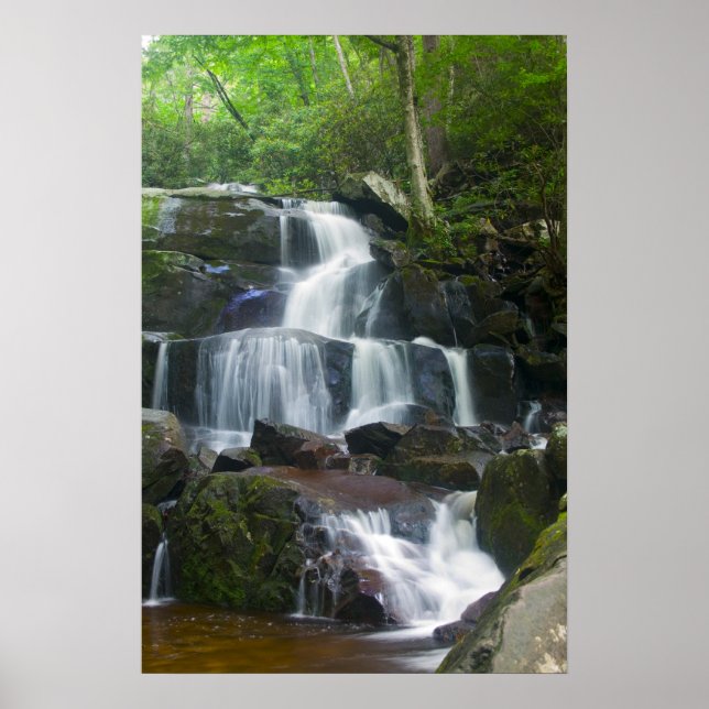 Time Lapse Waterfall Forest Poster (Front)