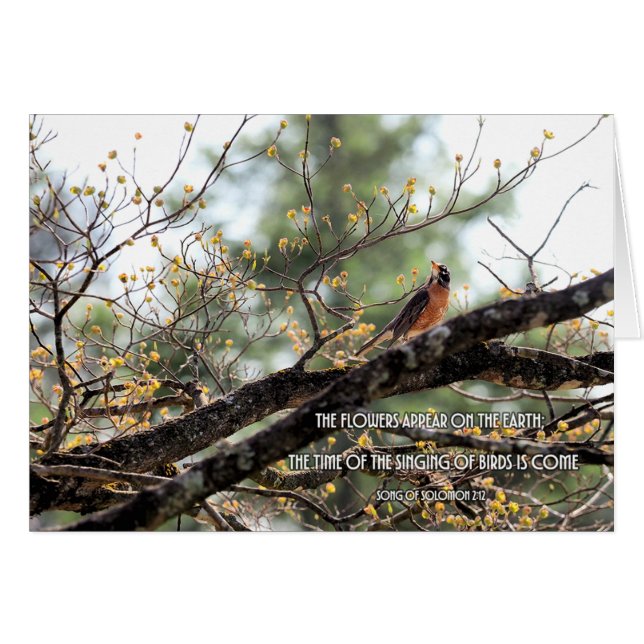 Time of the Singing Birds Parakaleo note card (Front Horizontal)