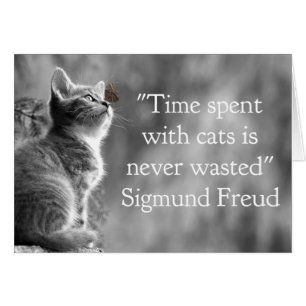 Time Spent with Cats . . .