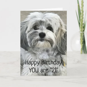 TIME TO CELEBRATE "21st" BIRTHDAY Card