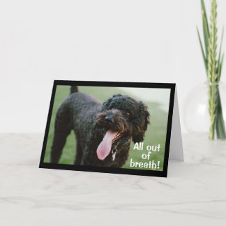 **TIME TO CELEBRATE YOUR 13th BIRTHDAY** Card