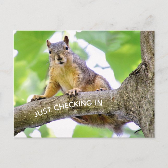 Time to Check In Postcard (Front)