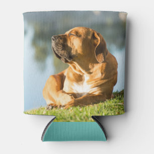 Time to Chill! Can Cooler